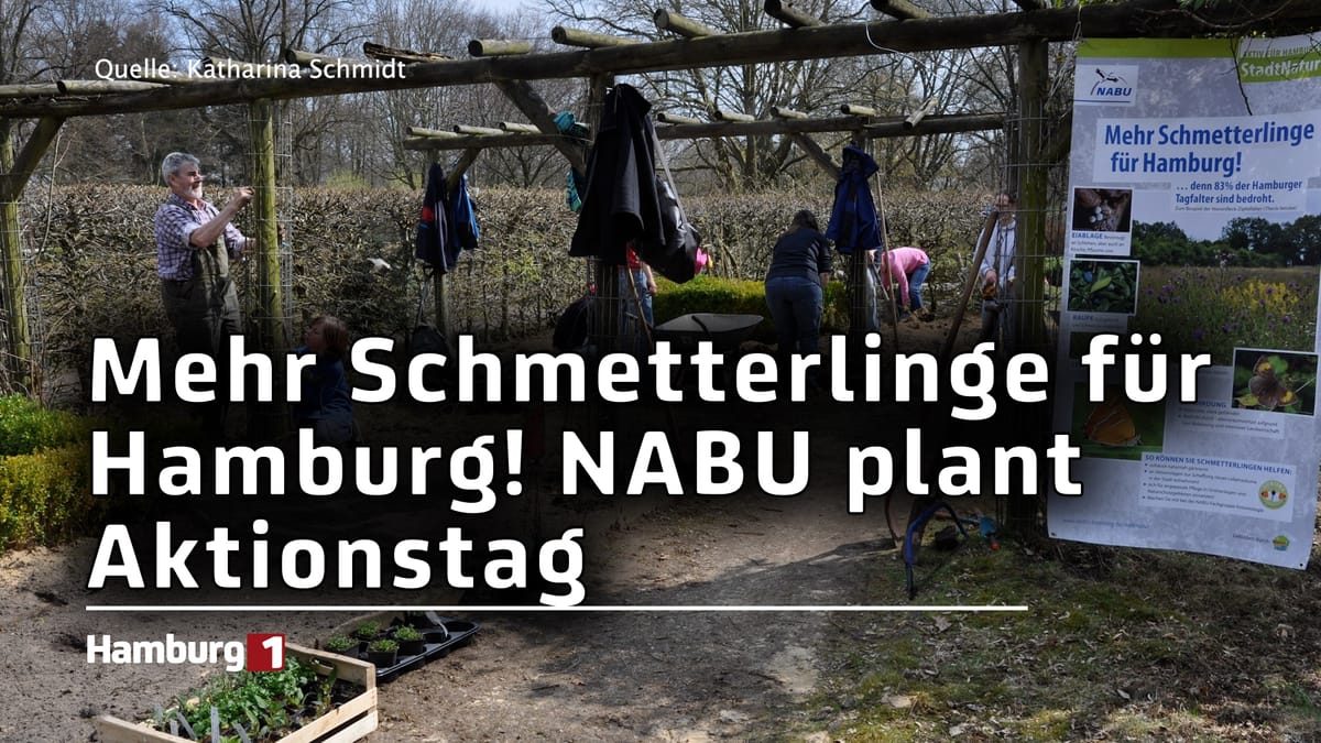 Im Harburger Stadtpark: NABU plant StadtNatur-Aktionstag