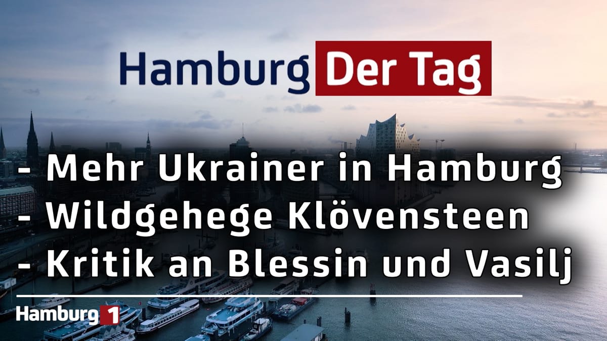 Hamburg Der Tag vom 12.11.2025
