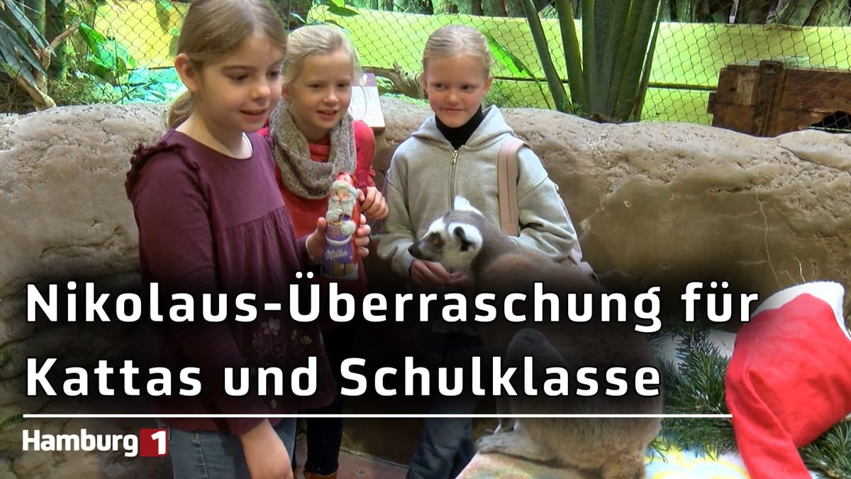 Tierpark Hagenbeck: Nikolaus-Aktion im Katta-Dorf und eine besondere Unterrichtsstunde