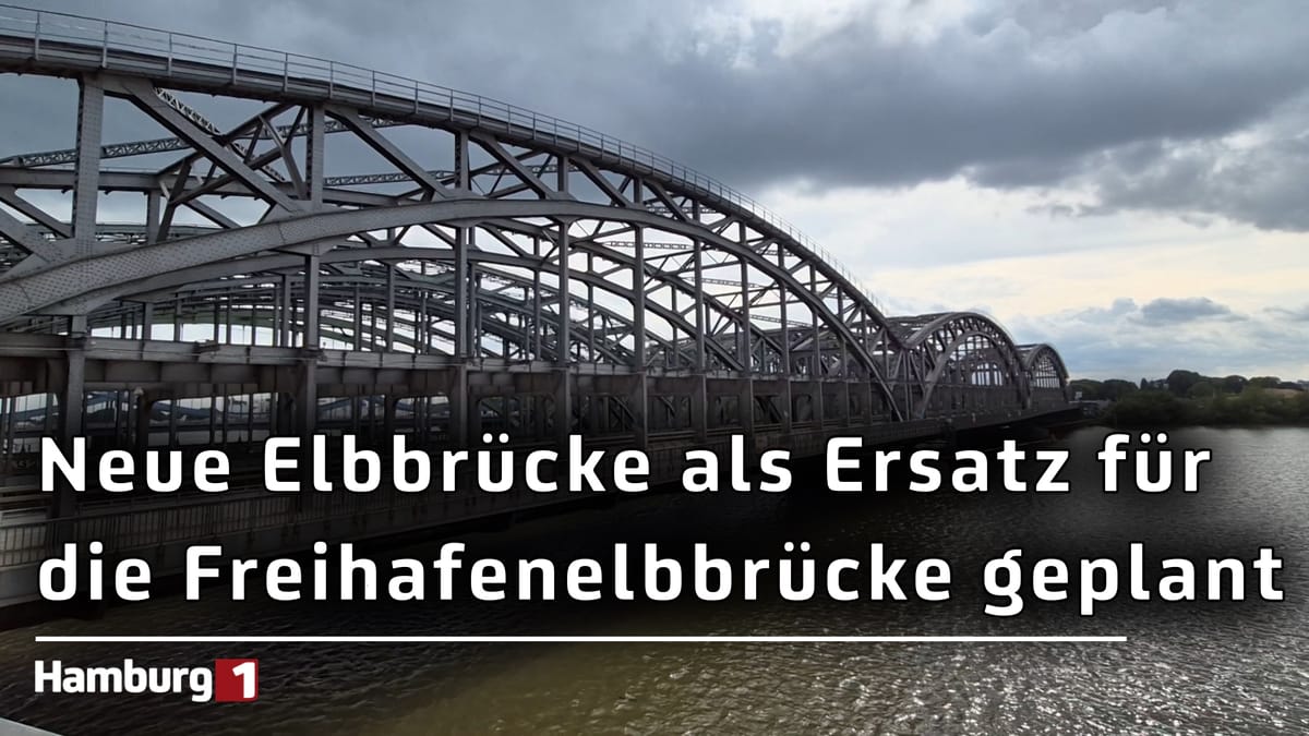 Für 134 Millionen Euro: Hamburg plant neue Elbquerung für beschädigte Freihafenelbbrücke