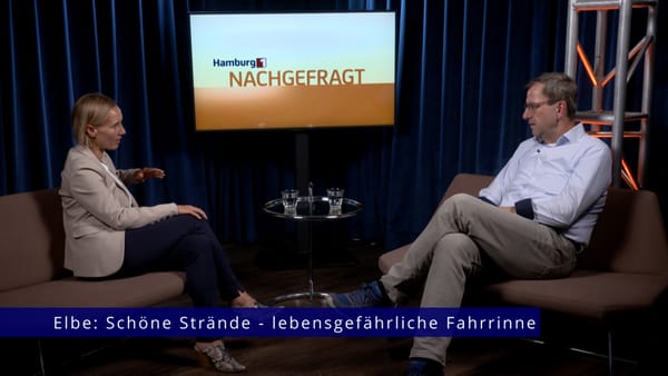 Nachgefragt: Elbe: Schöne Strände - lebensgefährliche Fahrrinne