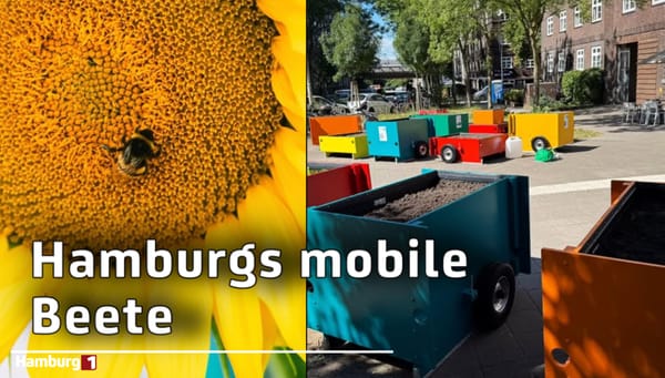 Ein Garten wandert durch Hamburg