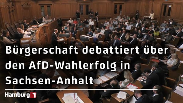 Nach Wahlerfolg in Sachsen-Anhalt: AfD löst politischen Schlagabtausch in der Bürgerschaft aus